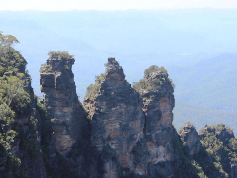 Follow the Winding Cliff Drive on a Blue Mountain Nature & Wildlife Tour