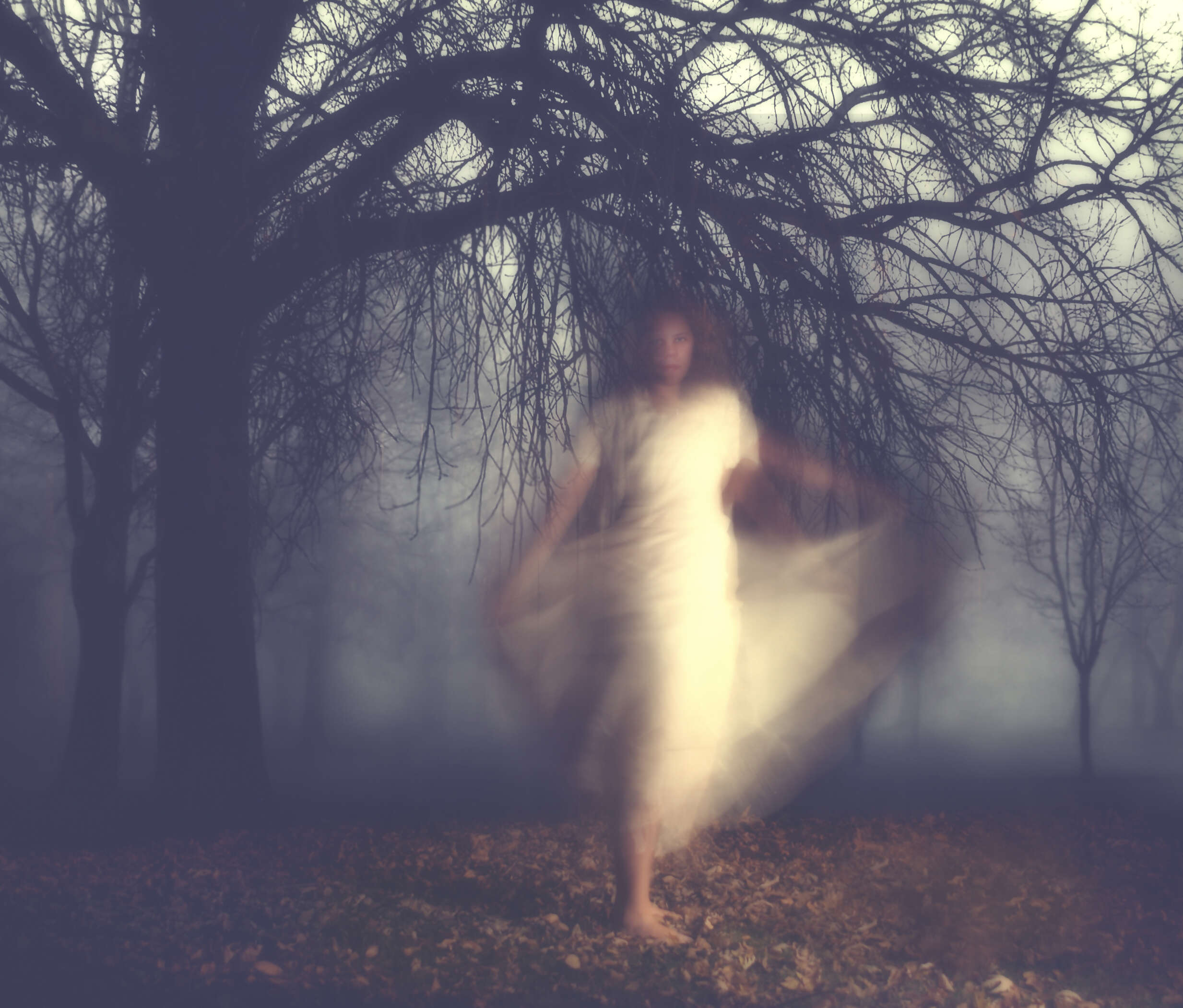 Get Spooked on an Orbs of Oahu Ghost Night Tour