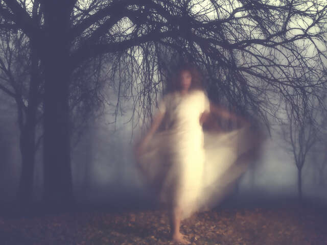 Get Spooked on an Orbs of Oahu Ghost Night Tour