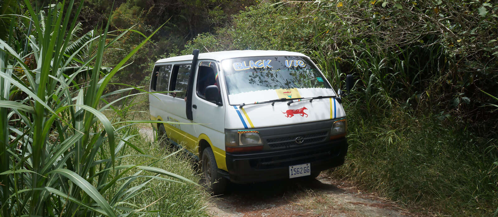 Explore the John Crow Blue Mountains