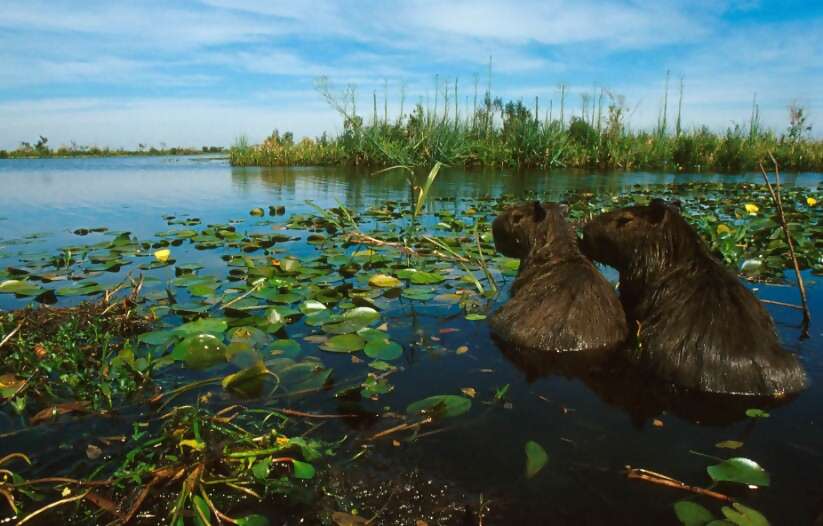 Argentina Adventures 16 Days 2016