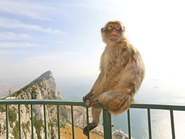 Gibraltar