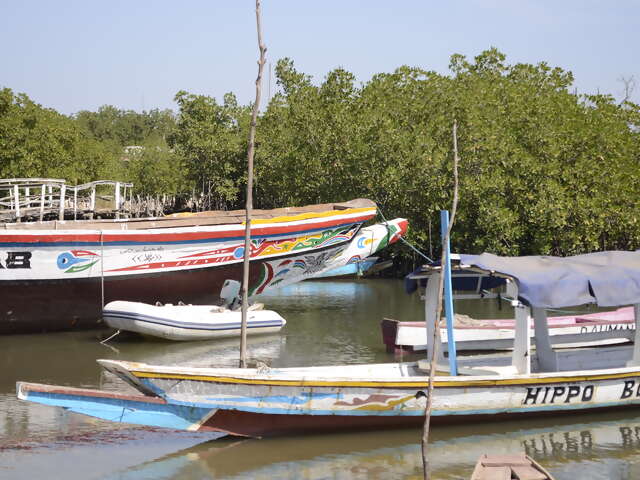 The Gambia