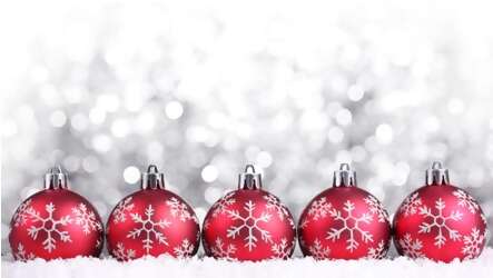 Walnut Grove Travel Hosts Their 2nd Annual Christmas Fundraiser