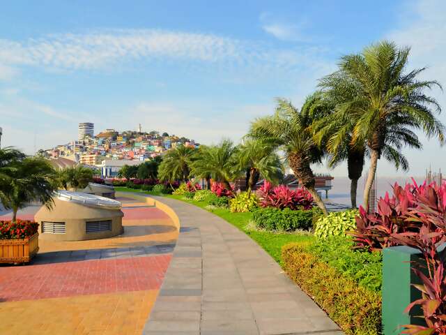 Guayaquil