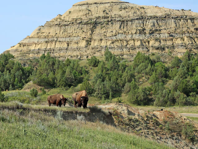 North Dakota