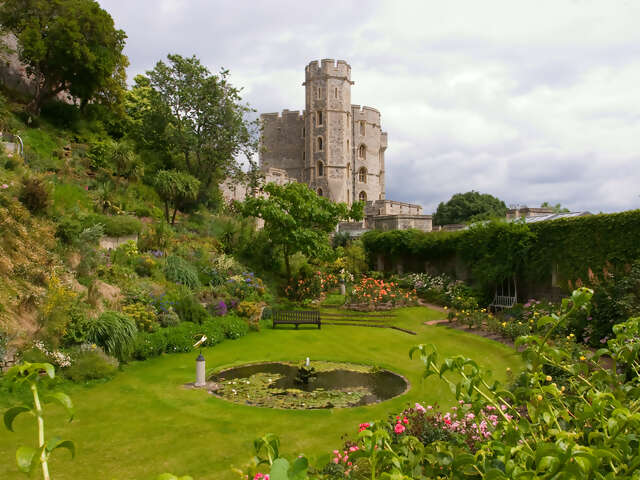 Windsor