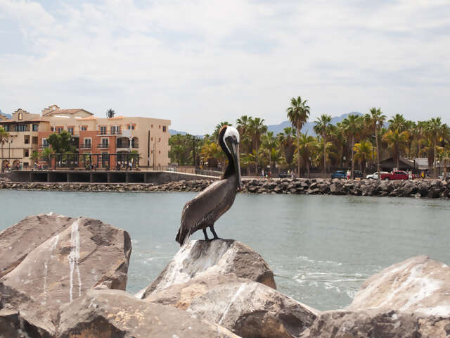 Baja California