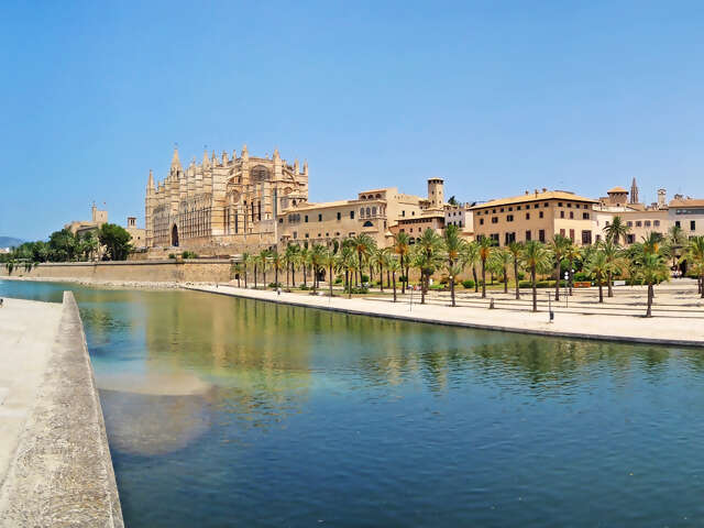 Palma