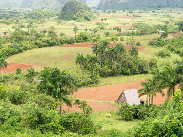 Pinar del Río