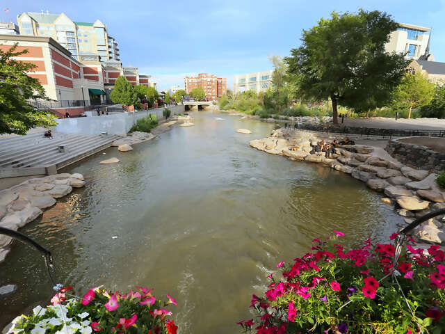 Reno