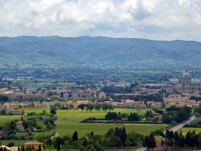 Asiago