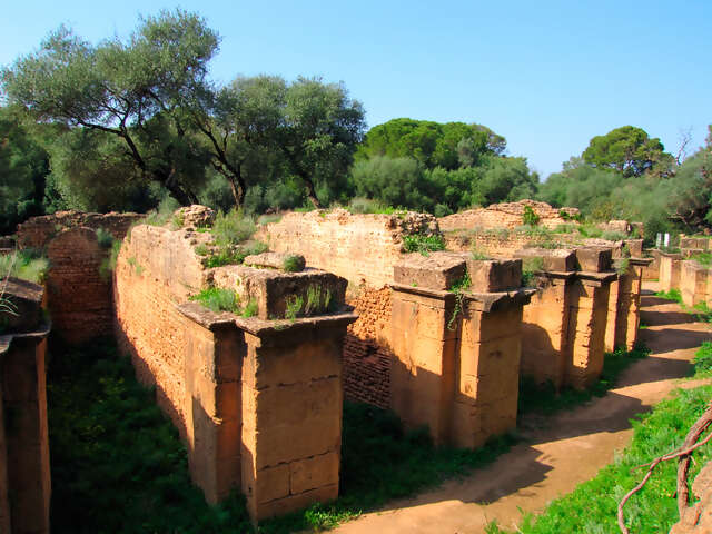 Tipaza