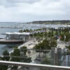 Geelong