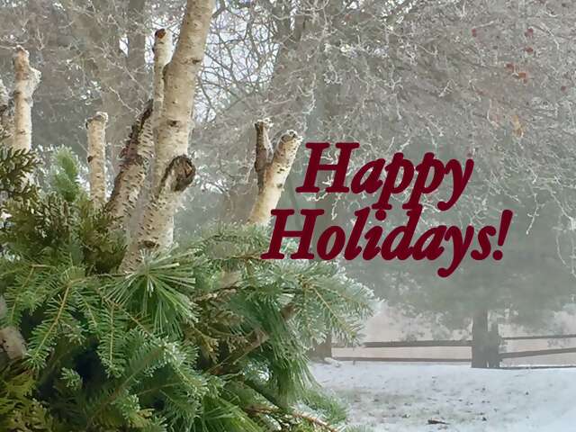 Welcome Winter!
