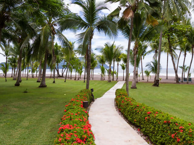 Montezuma
