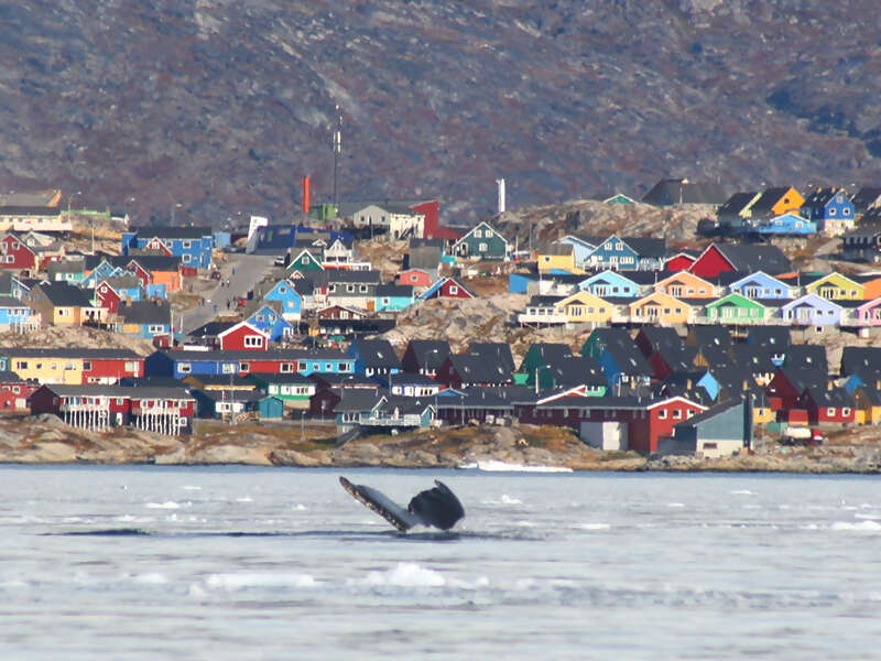 IMG_4507-ILLUISATWHALETALEPS.jpg