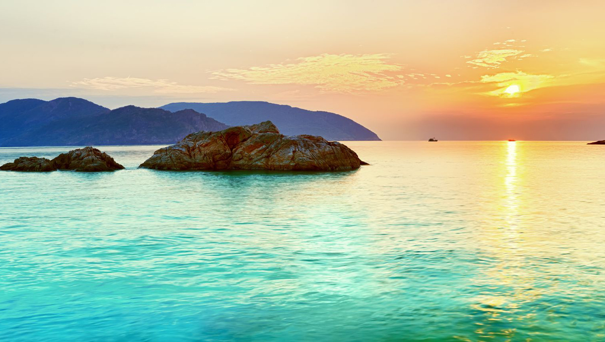 Adventure / Expedition Cruises