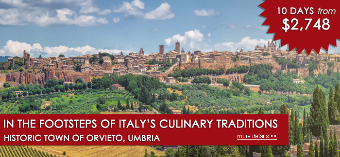 NEW! Introducing the 