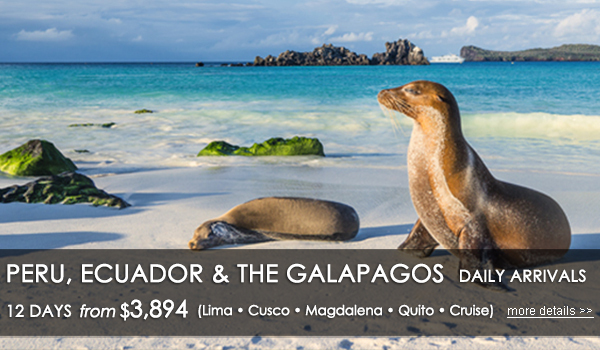 Our Love Affair with Latin America