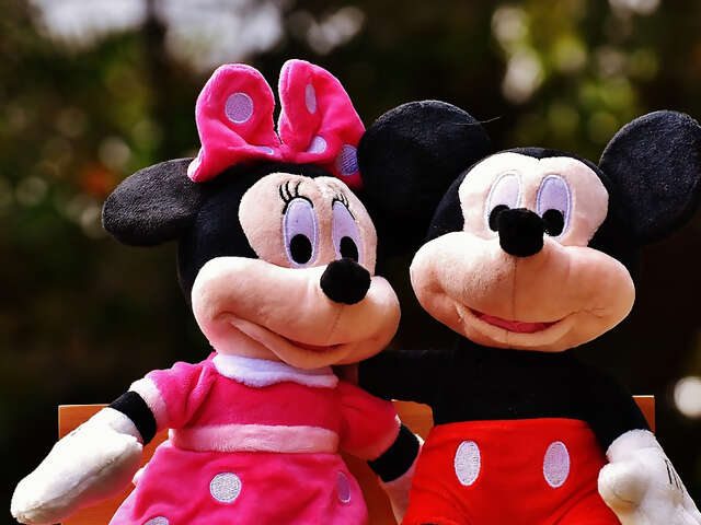 Disney Vacations