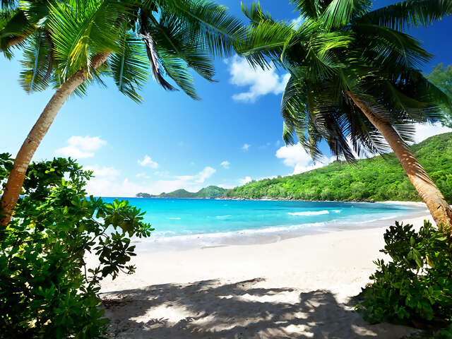 Your Caribbean Getaway with United Vacations®