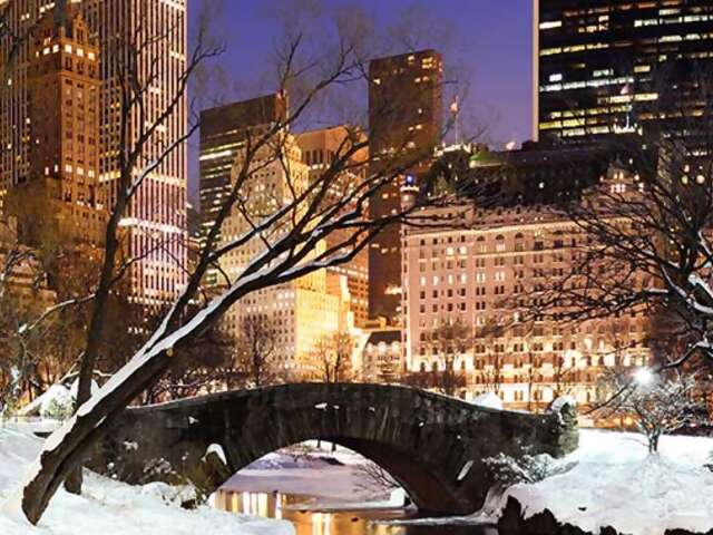 Spotlight on New York City Holiday
