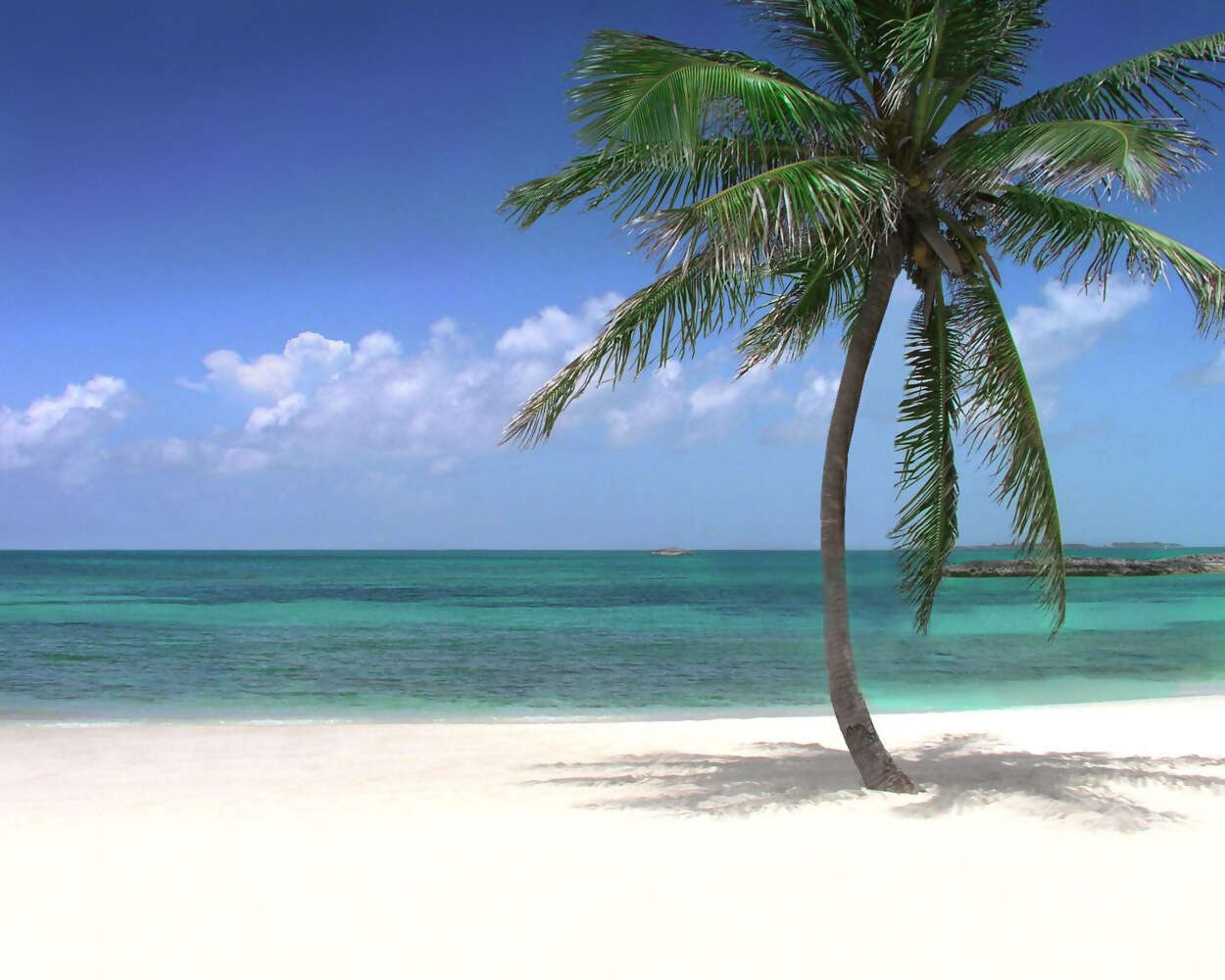 More Sun and Fun with WestJet Vacations