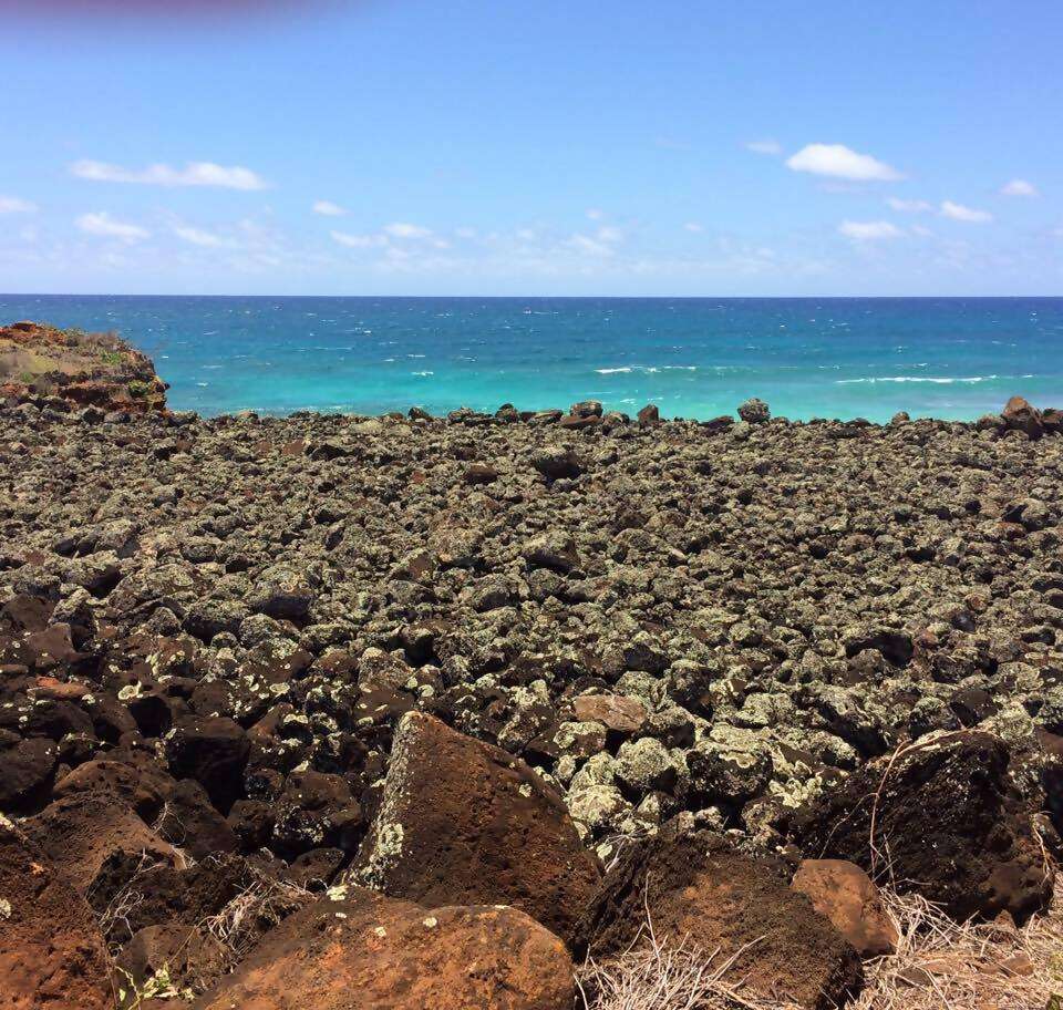 Amazing Kaua'i Trip!