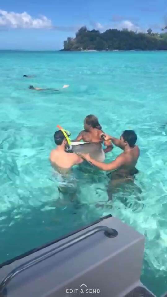 MOST AMAZING HONEYMOON