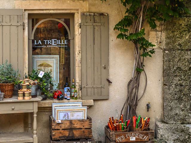 Provence: A Feast for the Soul