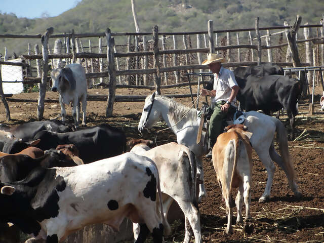 Why Travel Beyond Cuba’s Beaches?