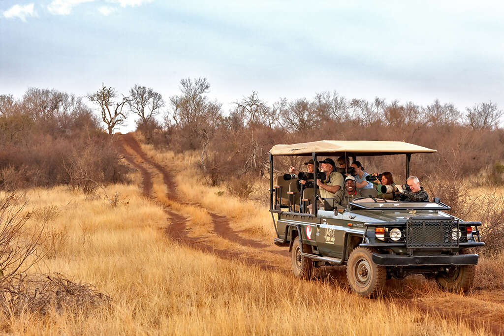 A Safari with Significance