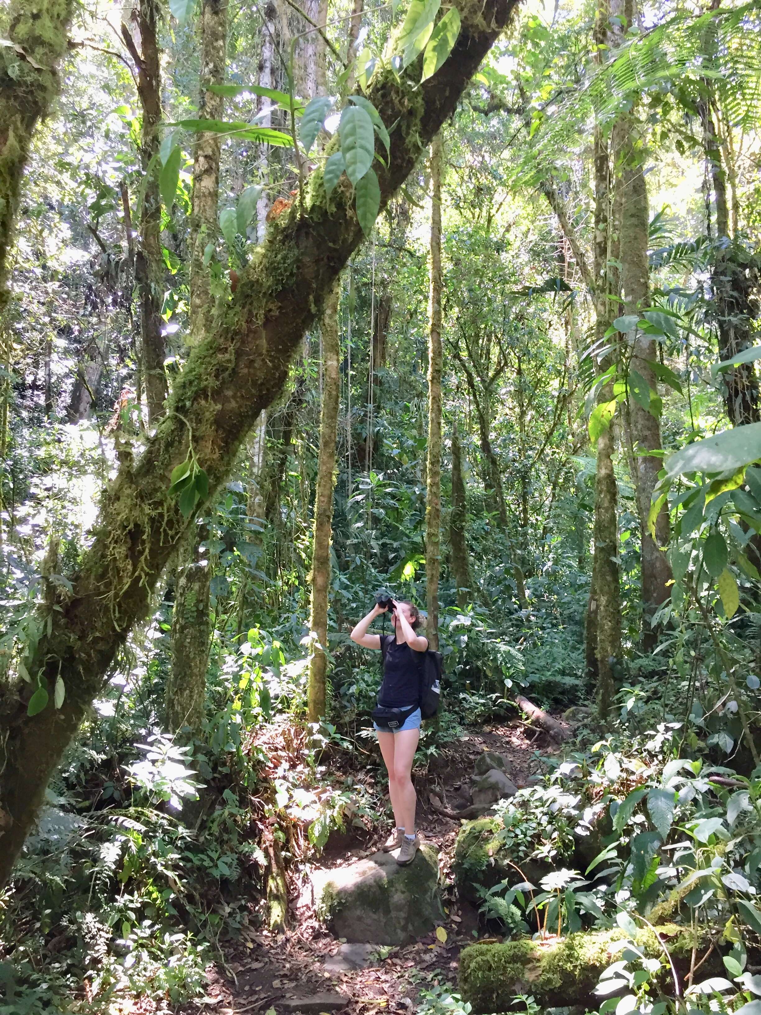 Amazing Cloud Forests To Visit In Central & South America