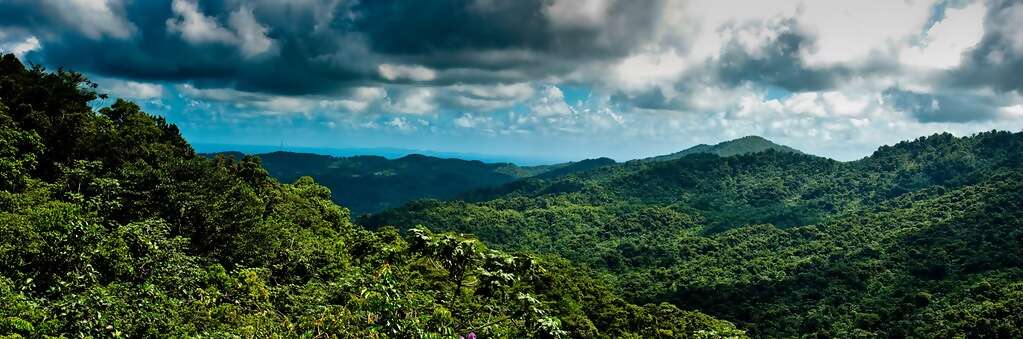 Discover Puerto Rico, in the Caribbean