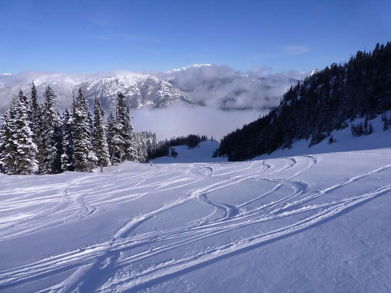 Winter Vacation...Stay in Canada or Travel to somewhere warm?