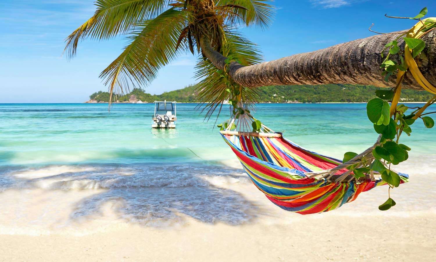 Remote Work, Caribbean Style