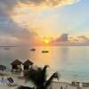 Jamaica