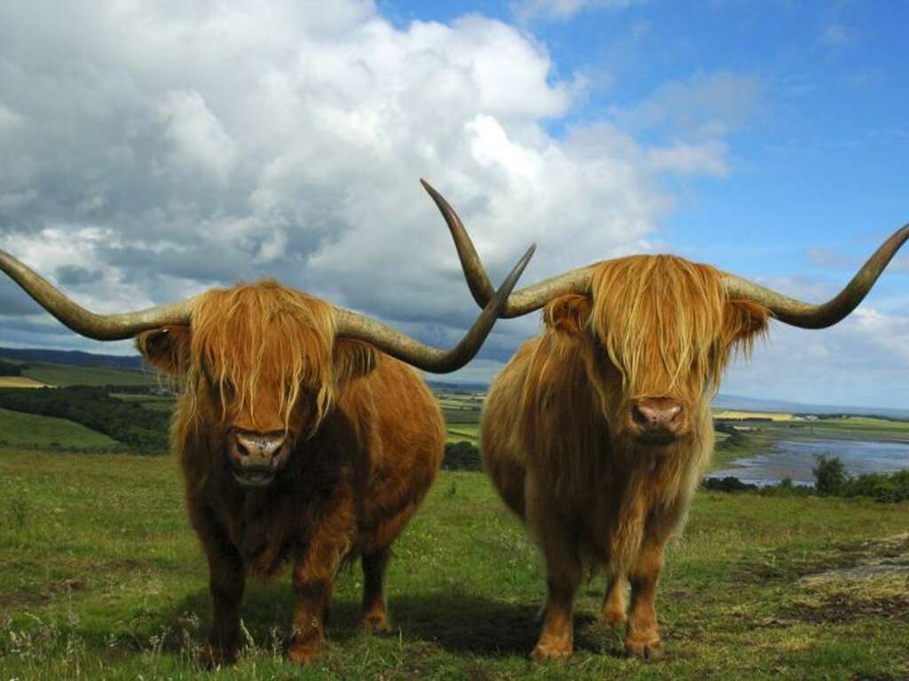 Discover the magic of Scotland