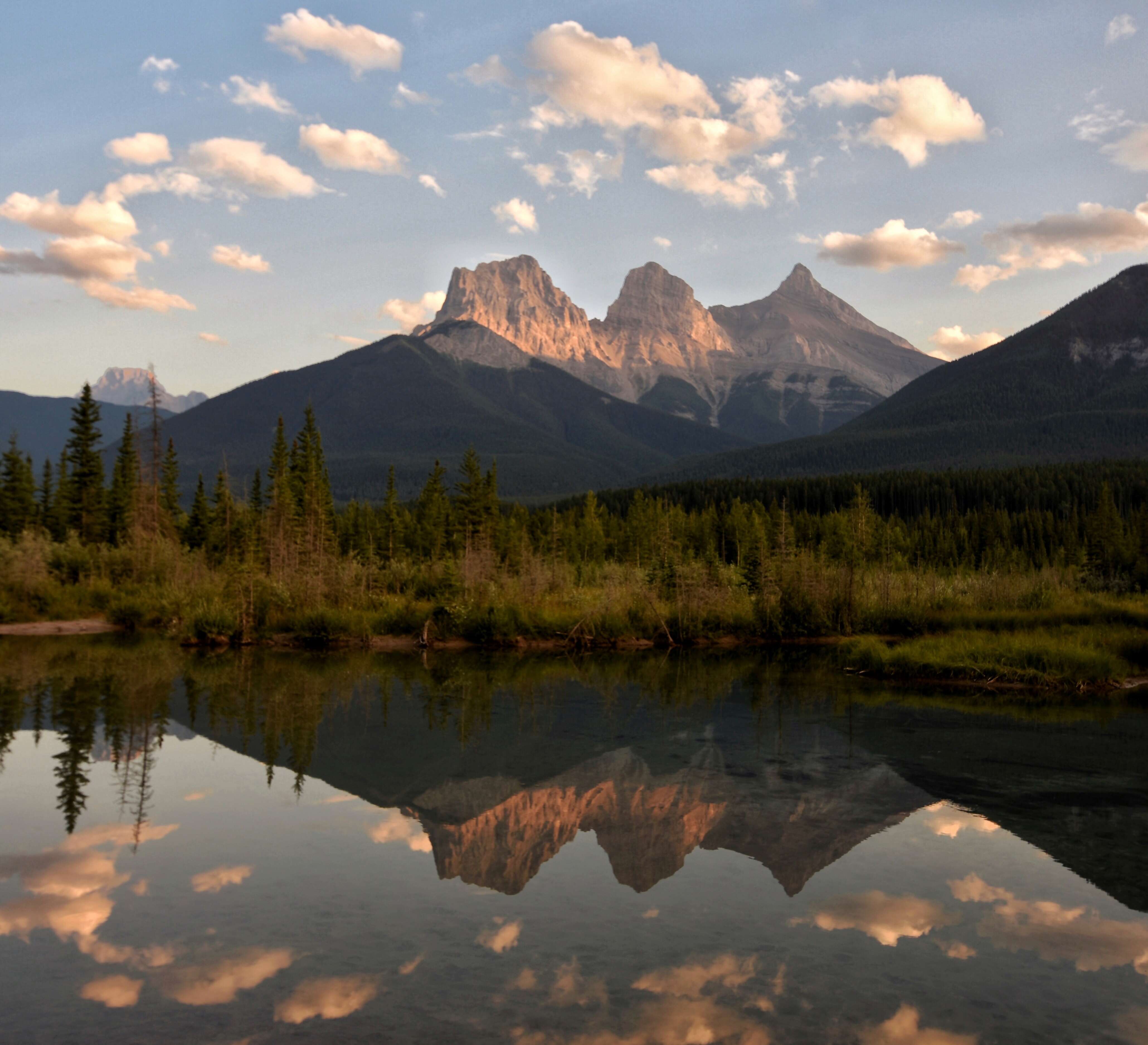 Fourth of July Office Hours