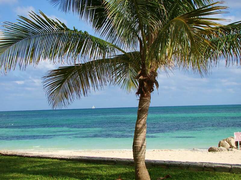Graduation Cruise ~ Bahamas 2022