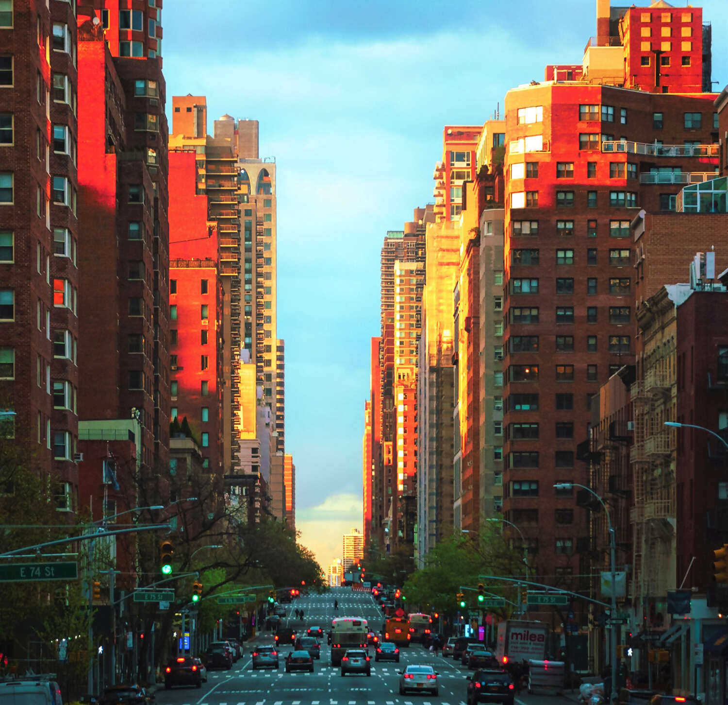 The World of NYC Coops