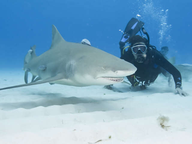 Why Purchase Travel Insurance?