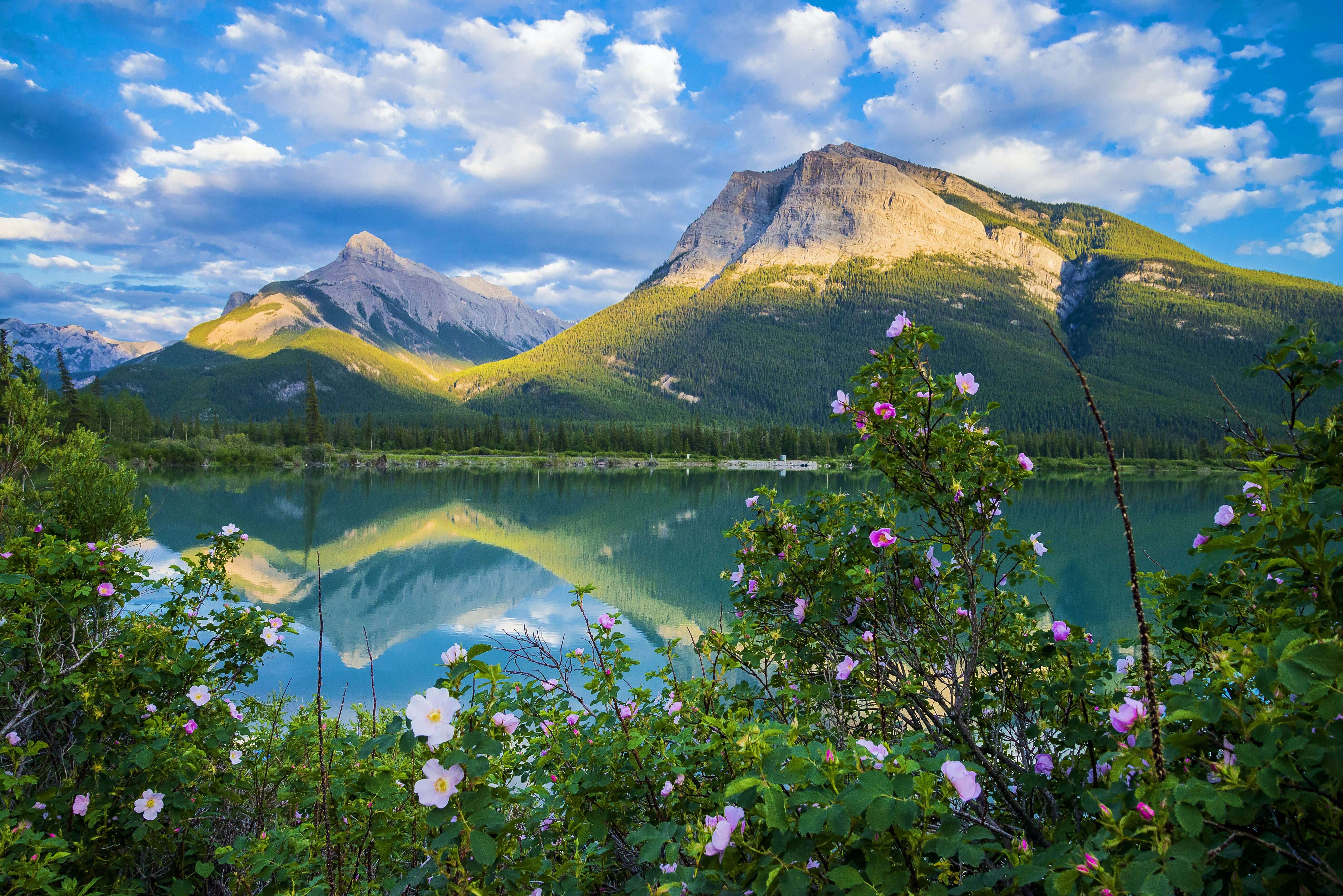 Summer Vacation in Alberta