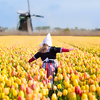 Kinderdijk