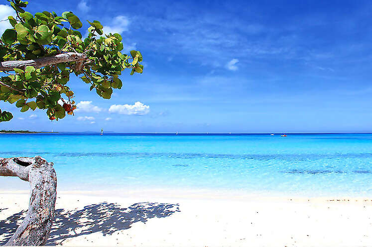 Playa Pesquero March Break 2023