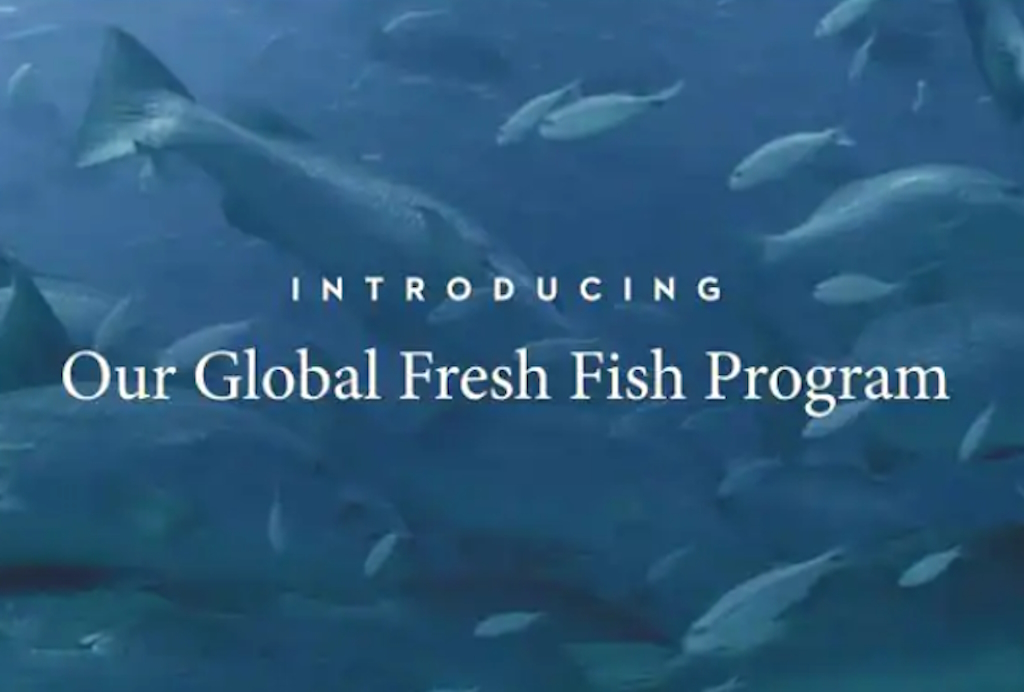 Holland America Line’s New Onboard Cooking Shows Bring Regional Cuisine from Port to Stage