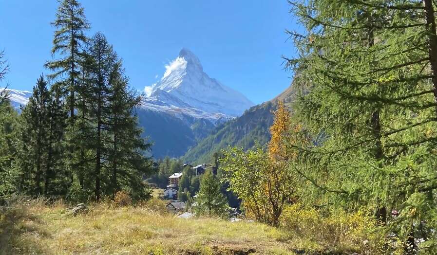 Our Europe trip was fabulous & it was a pleasure working with you!