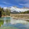 Join Us for a Rocky Mountaineer Info Session May 5th