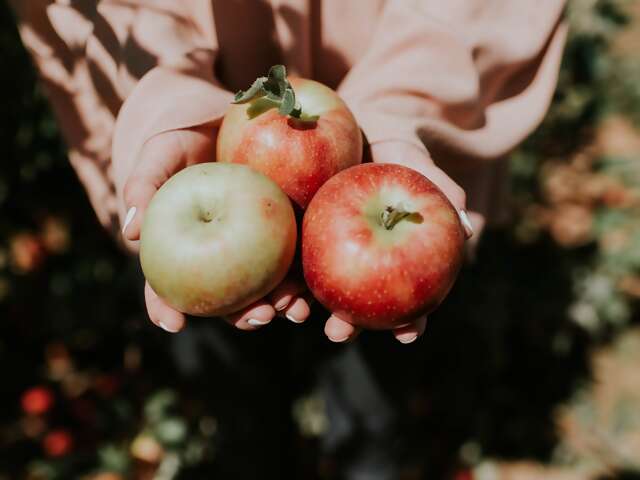 Fall Reflections – thinking of Apple Cake!